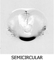 semi circular